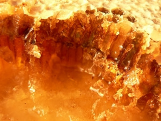 the honey and honeycomb in sunshine