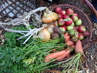 Basket full of vegetables and fruits in a market