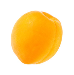 Apricot