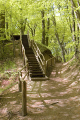 Holzaufstieg