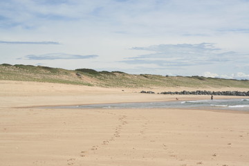 plage sur la côte landaise