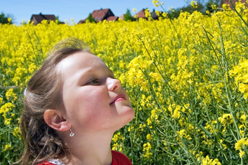 Rapsblüte