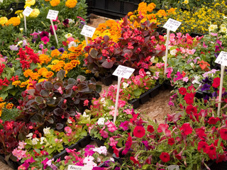 Fototapeta na wymiar flower market