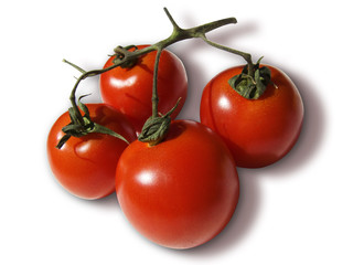 pomodori