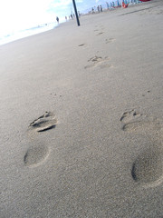 impronte