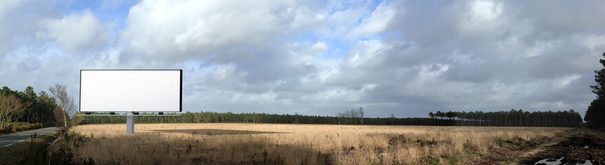 Obraz premium Road tree