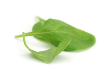 Baby spinach leaves ~ macro on white.  