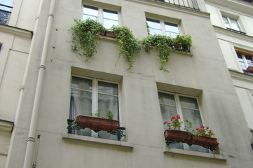 fenetres  de façade
