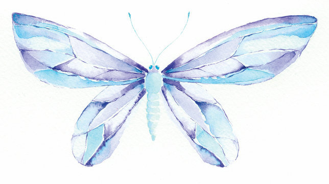 blue and purple fantasy butterfly