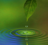 water drop