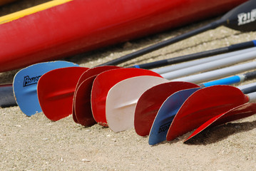 Colorful paddles on the beach