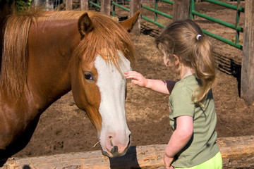 a little girl petting a beautiful horse