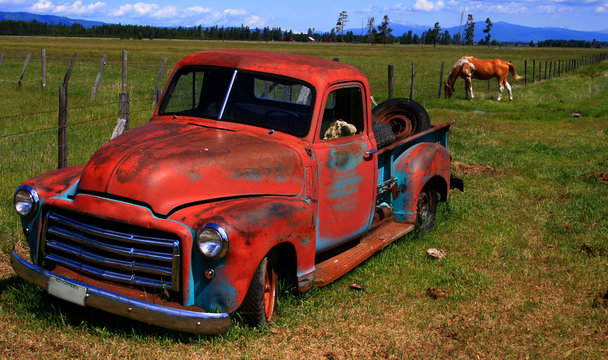Out To Pasture