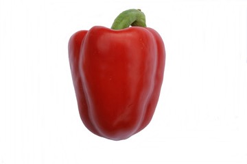 Red pepper on a white background