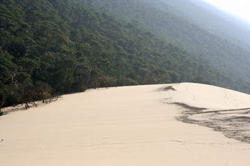 Dune du Pilat