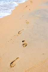 footprints in the sand on the beach