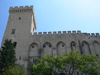 palais des papes à Avignon le matin