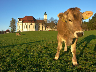 Auf der Wies
