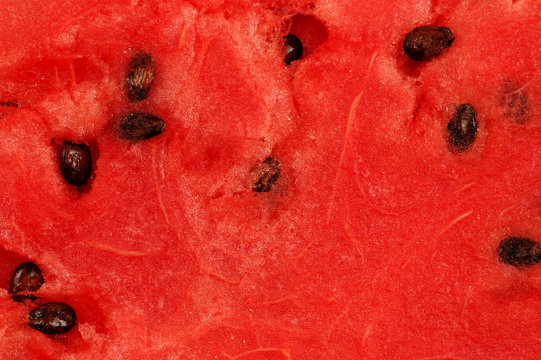 Watermelon flesh wit seeds close-up