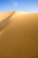 goldene sanddüne auf fuerteventura