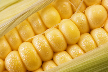 peeled sweet corn close up or macro