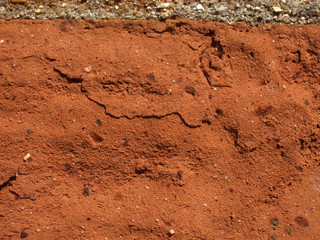 Close Up Of Brick Wall