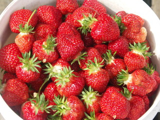 Strawberries