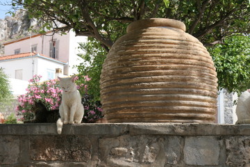 Katze auf der Insel Hydra