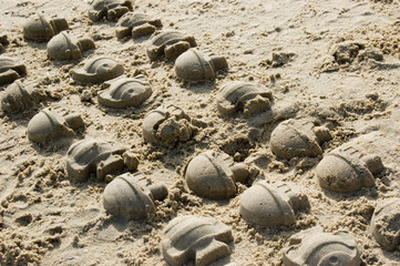 pat&eacute;s de sable