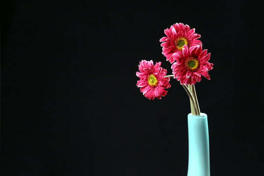 three flowers