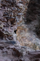 Castle Rock 1