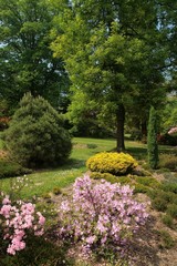 Beauty colored garden on  spring