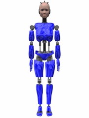 Robot Woman