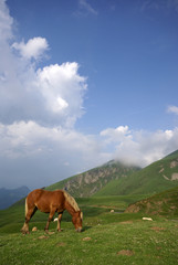 la montagne hors saison