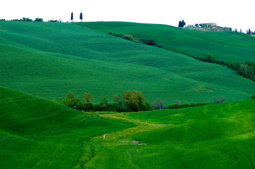 Rural countryside landscape in Tuscany region of Italy.