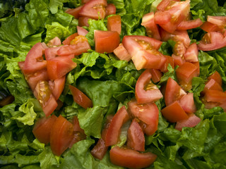 Salad with mixed lettuce and sliced tomatoes