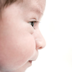 visage de bébé de profil © shocky