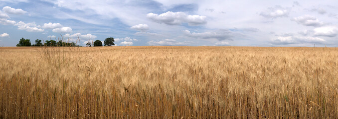 dans le lauragais