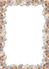 Floral frame with blanc white background