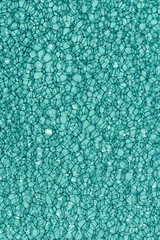 Bubble network background, closeup of foamed material