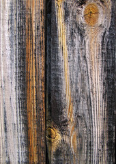 The fragment of the wall that made of wood boards