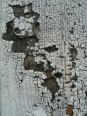 The wooden surface which was painted by white oil paint
