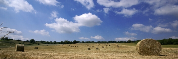 panorama d'été