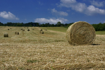 rouleaux de paille