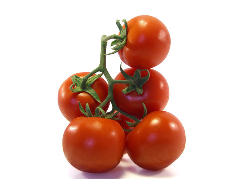 Cacho de tomates