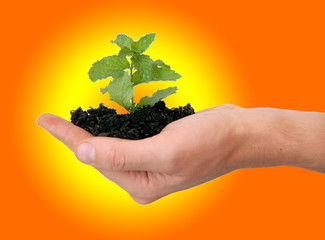 developpement durable