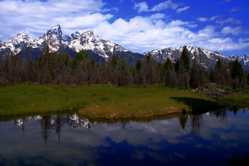 Teton Reflection 2007