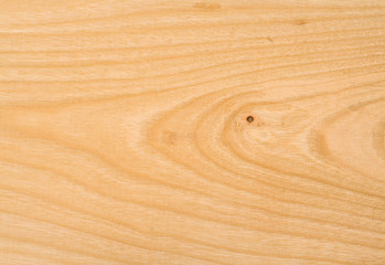 Unpolished beech wood texture with a little knot