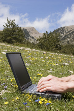 Male hands typing on a laptop in a meadow in the mountains
