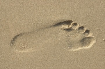 Footprint
